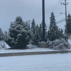 Meet your Posher, Manisha